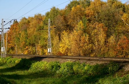 A railway through an autumn forestの写真素材