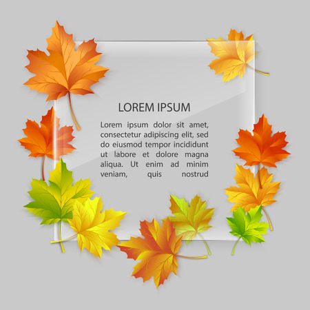 Vector glass banner with colorful autumn maple leavesのイラスト素材