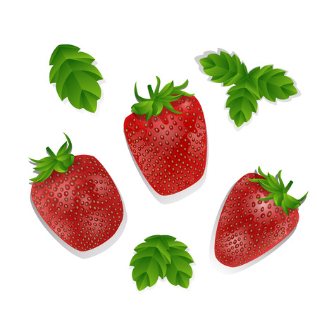 Set of realistic sweet and fresh strawberries isolated on white background. Fresh fruit organic, illustration of red sweet strawberryのイラスト素材