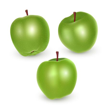 Set of green apples on white background, Ripe apples, vector eps 10 illustrationのイラスト素材