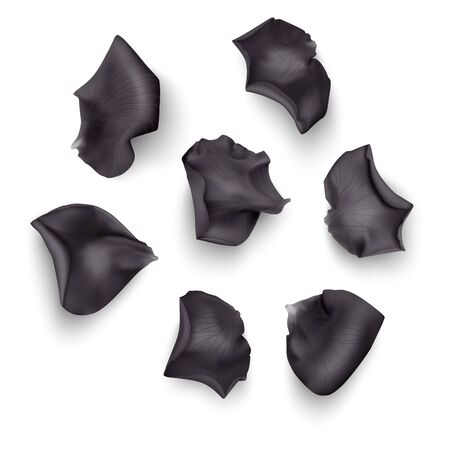 Set of Black rose petals , close-up on a white background can be used for design of romantic greetings. Vector illustrationのイラスト素材