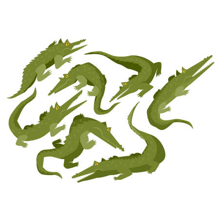 Set of crocodile or alligators isolated on white background, Crocodile Character In Different Poses...