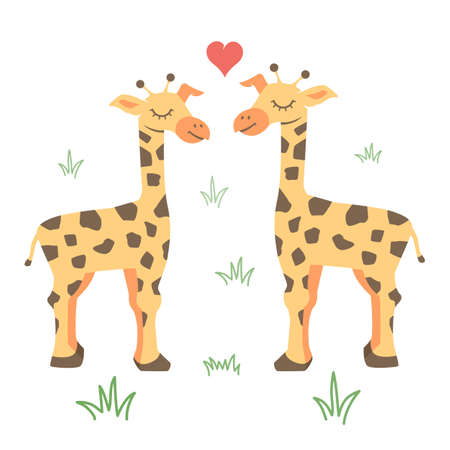 Illustration of a Giraffe Couple Facing Each Other, cartoon illustration on white backgroundのイラスト素材