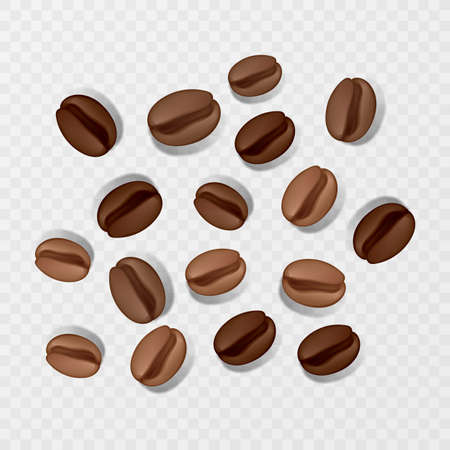 Coffee beans on transparent background, vector illustrationのイラスト素材