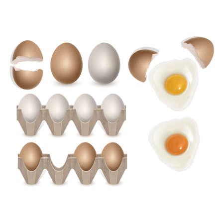 Chicken eggs in realistic style Fresh brown eggs in paper box, vector formatのイラスト素材