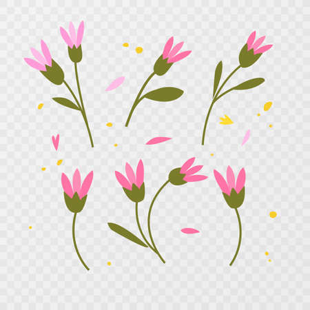hand drawn isolated flowers and herbs, vector formatのイラスト素材