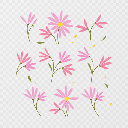 hand drawn isolated flowers and herbs, vector formatのイラスト素材