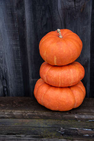 a pyramid of orange pumpkins against a gray old wooden backgroundの写真素材