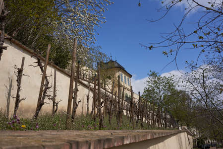 Prague, Czech Republic - April 23, 2021 - The Great FÃ¼rstenberg Garden in a sunny spring afternoon near Prague Castle.のeditorial素材