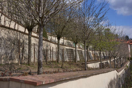 Prague, Czech Republic - April 23, 2021 - The Great FÃ¼rstenberg Garden in a sunny spring afternoon near Prague Castle.のeditorial素材