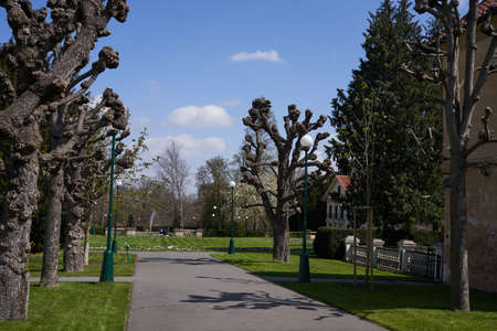 Prague, Czech Republic - April 23, 2021 - spring in the Royal Garden at Prague Castleのeditorial素材