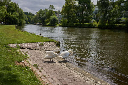 Luebeck, Germany - July 20, 2021 - the river Trave and its immediate surroundings in the old town of Luebeckのeditorial素材