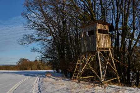 Hunting seat on the edge of the forest in winterの写真素材