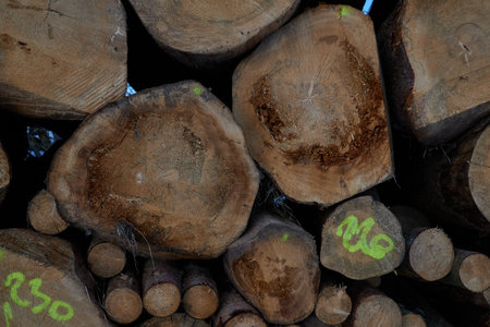 Firewood texture logs rural scene brown background in sunny winter day