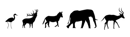Group of wildlife animal silhouettes illustrationのイラスト素材
