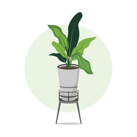 Hand Drawn Potted Houseplant in Flat Illustrationのイラスト素材