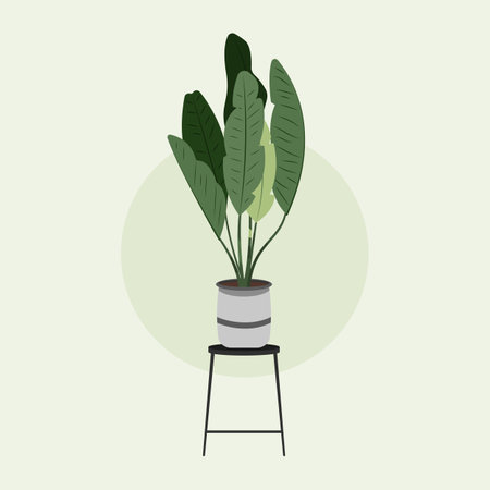 Hand Drawn Potted Houseplant in Flat Illustrationのイラスト素材