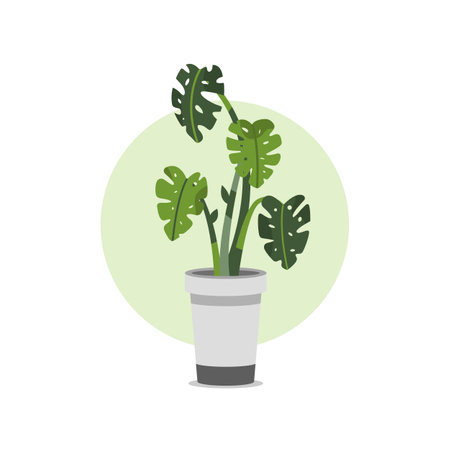 Hand Drawn Potted Houseplant in Flat Illustrationのイラスト素材