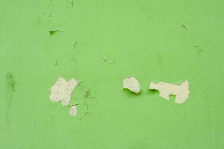 green texture wallpaper houseの写真素材