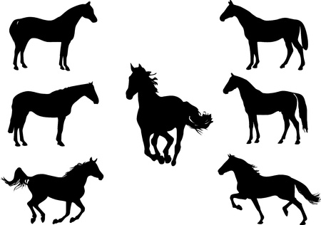 Horse symbolsのイラスト素材