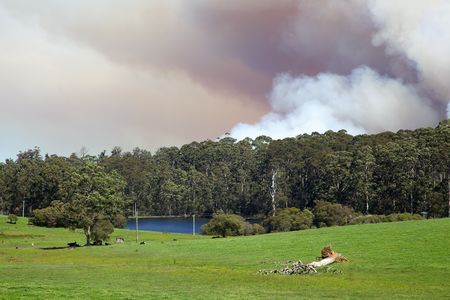 A forest fire near the town of Pemberton in Western Australia.の写真素材