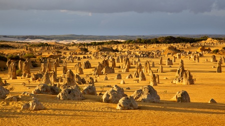 An overview of part of the Pinnacles Desert in the heart of the Nambung National Park, Western Australia.の写真素材