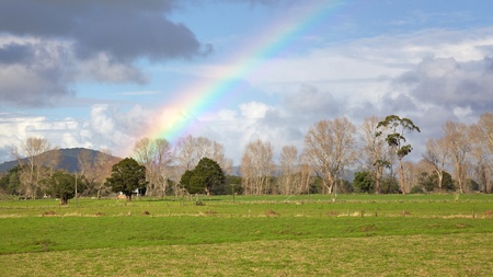 Rainbow over a farm in the Kauri Coast area, Northland, North Island, New Zealand.の写真素材