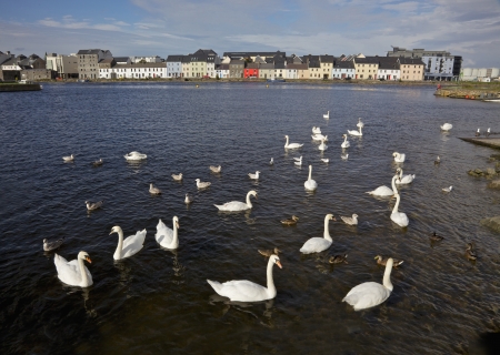 View from the Claddagh Basin, across the River Corrib, towards The Long Walk in Galway, Ireland の写真素材