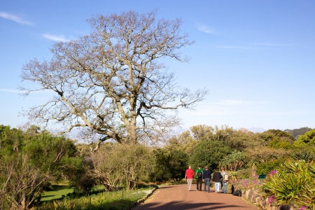 Kirstenbosch, South Africa, September 29, 2009 - Visitors relaxing in Kirstenbosch National Botanical Garden on September 29, 2009. Kirstenbosch celebrated its centenary in July 2013.のeditorial素材