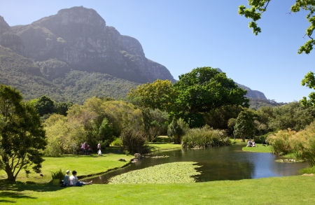Kirstenbosch, South Africa, October 23, 2012 - Visitors relaxing in Kirstenbosch National Botanical Garden on October 23, 2012. Kirstenbosch celebrated its centenary in July 2013.のeditorial素材