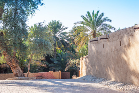 A traditional building the edge of Jimi Oasis in Al Ain, in the emirate of Abu Dhabi, United Arab Emirates.のeditorial素材
