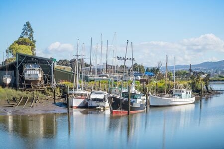 Boats and yachts moored in the Tamar River in Launceston, in Tasmania, Australia.の写真素材