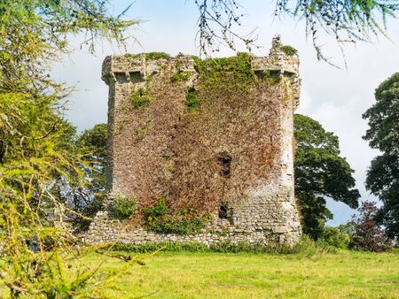 Shrule Castle is a ruined tower castle in Shrule in County Mayo, Ireland. The castle was built in...
