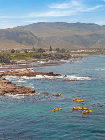 Kayakers paddling along the coast off Hermanus in the Western Cape, South Africa.の写真素材