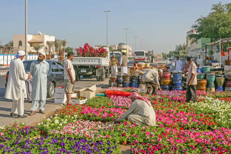 DUBAI, UAE - DECEMBER 24, 2004: A nursery alongside Jumeirah Beach Road in Dubai, United Arab Emirates.のeditorial素材