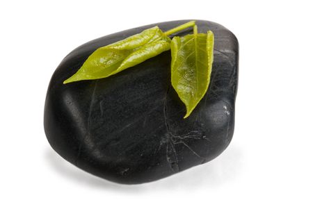 Two leaflets of tree lie on stone isolated in whiteの写真素材