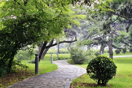 a beautiful corner of the park in summerの写真素材