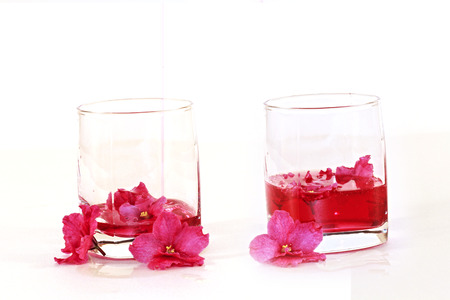 rectangular glass beakers with liquids of different colors on a white backgroundの写真素材