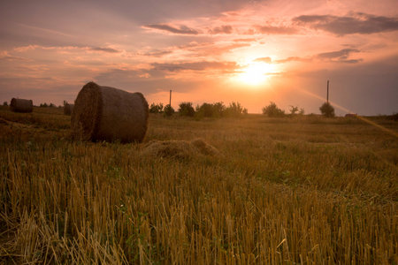 Picture of hay bales acorss the stubble at the end at the summerの写真素材