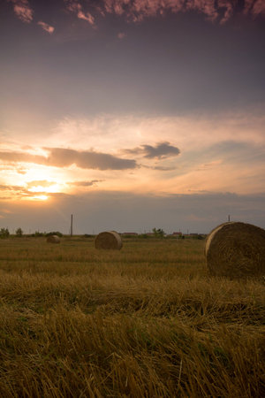 Picture of hay bales acorss the stubble at the end at the summerの写真素材