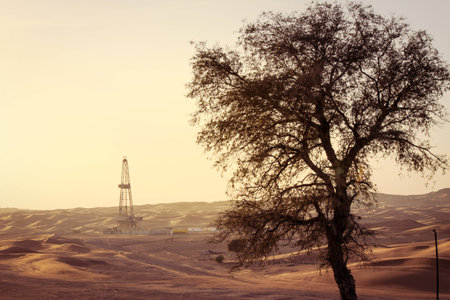 Picture of Dubai vista 2016の写真素材