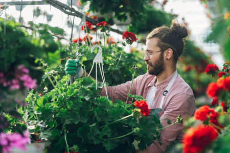 Portrait of a florist man holding flower pot and adjusting drip irrigation system while working in a...