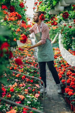 Handsome worker taking care of plants and supervising the growing process in the greenhouse of a flower plant production. Agricultural fresh organic concept. Plantation of flowers in the background.の写真素材