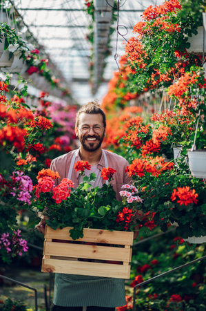Portrait of a florist man holding wooden crate full of flower pots while working in a plant nursery. Plantation of flowers in the background. Gardening and people concept. Looking into the camera.の写真素材