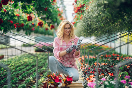 Attractive successful plant nursery owner female standing in her greenhouse and taking care of flowers. Gardener women putting on gloves while working in the greenhouse. Flower delivery order.の写真素材