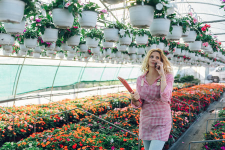 Female florist caring for plant nursery with flowers while holding the clipboard with business plans and talking on a smartphone. Growing houseplants for sale. Woman gardener working in a greenhouse.の写真素材