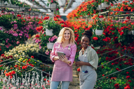 Portrait of a two multiracial female sorting the flowers in the pot according to quality while working in a in the nursery garden and using tablet. Woman multiracial florists at greenhouse.の写真素材