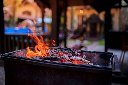 Wood burning in the grill, fireplace. preparation for barbecue