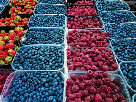 Various fresh berries Fruits in Plastic Trays on food market stall.の写真素材