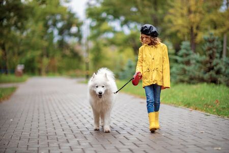 Lovely girl in yellow rubber boots and rain coat on a walk with a beautiful white samoyed dog in a park outdoorの写真素材